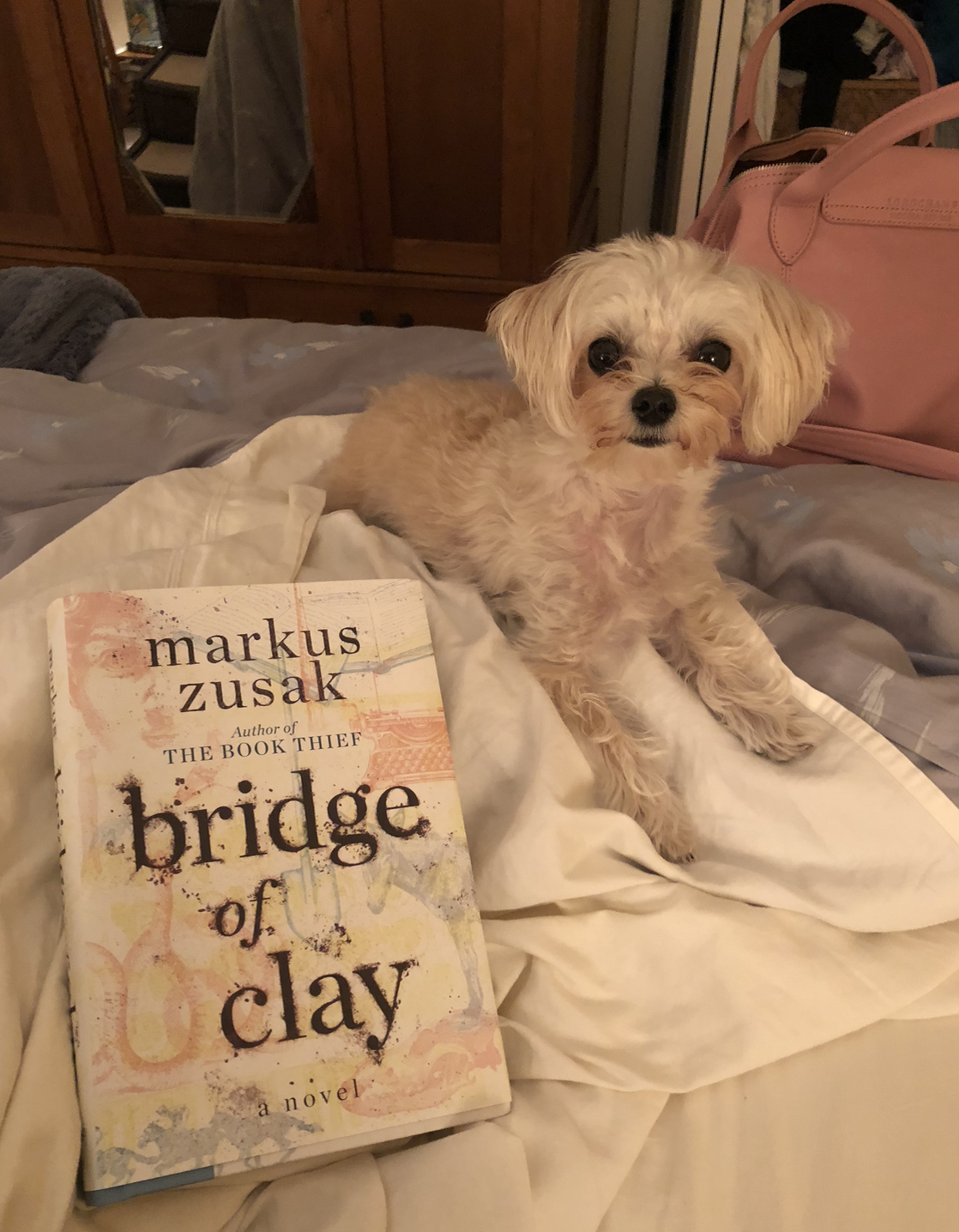 Screenshot 2018-10-20 19.34.46